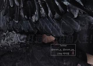 First Image