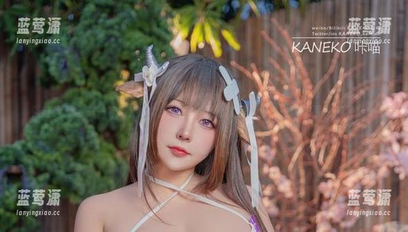 浴缸大聚会——咔喵KANEKO全集里的水花四溅，一波未平一波又起。